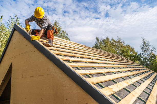Best Roof Gutter Cleaning  in Stockton, IL