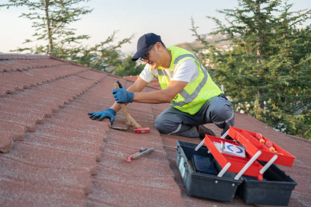 Best Tile Roofing Contractor  in Stockton, IL