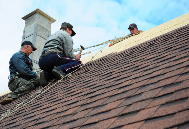 Best Affordable Roofing Company  in Stockton, IL