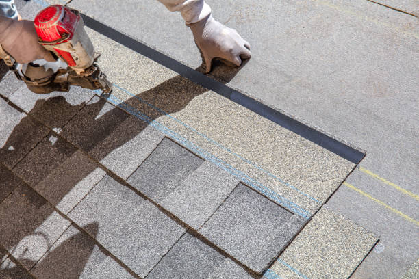 Best Flat Roof Repair Services  in Stockton, IL