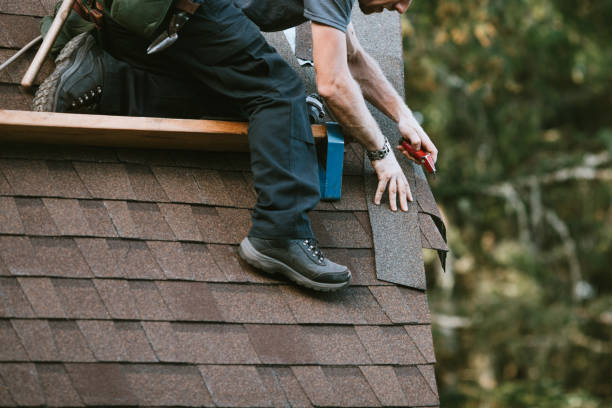 Best Roof Waterproofing Services  in Stockton, IL